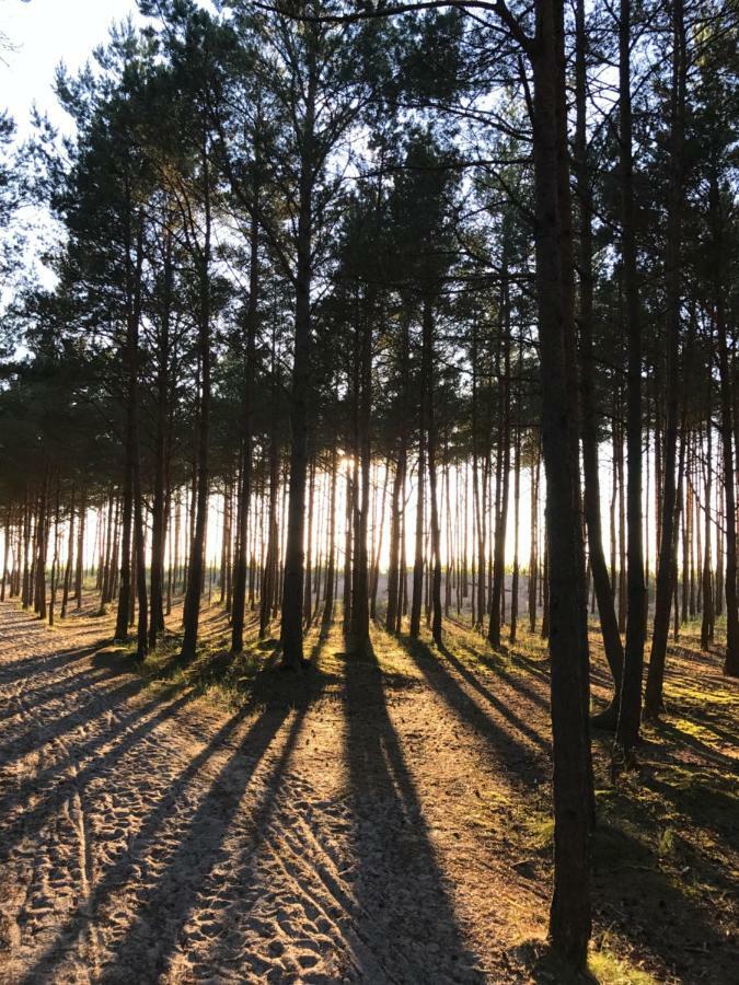 Sosnowe Zacisze Βίλα Sasino Εξωτερικό φωτογραφία