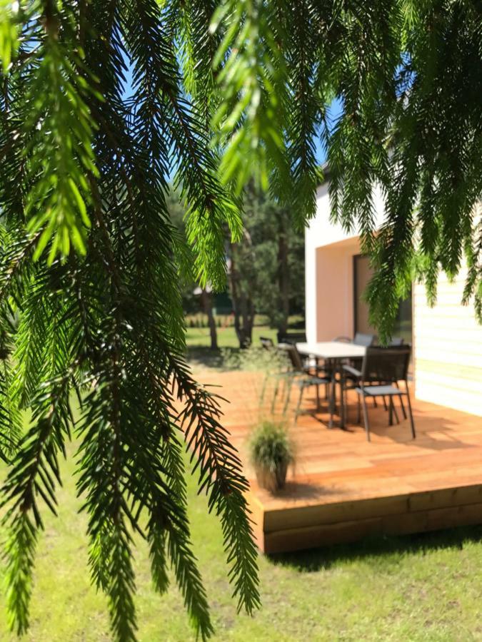 Sosnowe Zacisze Βίλα Sasino Εξωτερικό φωτογραφία